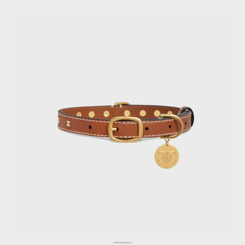 μεσαίο λεπτό κολάρο σκύλου σε λείο δέρμα μοσχαριού με καρφιά θριάμβου άνδρες CELINE 640PT1726 αξεσουάρ βυρσοδέψω