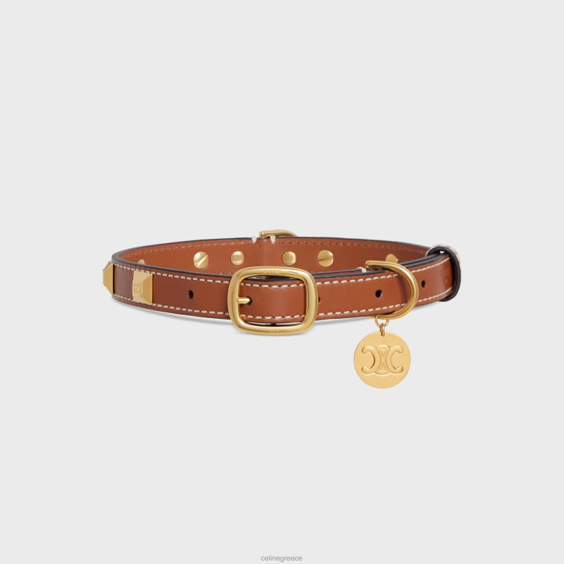 μεσαίο λεπτό κολάρο σκύλου σε λείο δέρμα μοσχαριού με πυραμιδικά καρφιά άνδρες CELINE 640PT1730 αξεσουάρ βυρσοδέψω