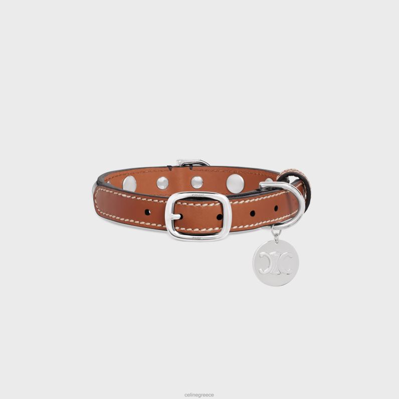 μικρό λεπτό κολάρο σκύλου σε καμβά triomphe & δέρμα μοσχαριού με καρφιά άνδρες CELINE 640PT1738 αξεσουάρ βυρσοδέψω