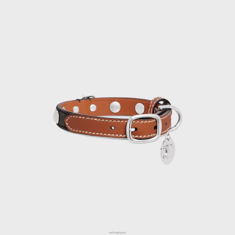 μικρό λεπτό κολάρο σκύλου σε καμβά triomphe & δέρμα μοσχαριού με καρφιά άνδρες CELINE 640PT1738 αξεσουάρ βυρσοδέψω
