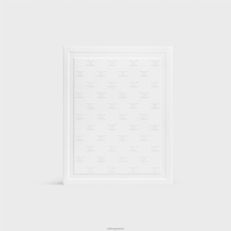 χαρτί παρέλασης για άνδρες και γυναίκες CELINE 640PT1506 αξεσουάρ ένα χρώμα