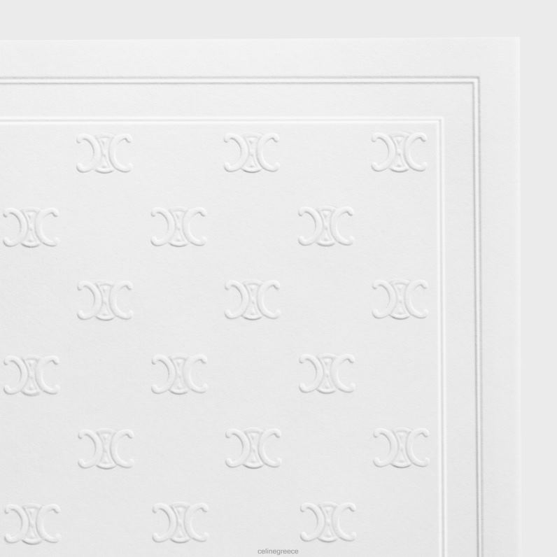 χαρτί παρέλασης για άνδρες και γυναίκες CELINE 640PT1506 αξεσουάρ ένα χρώμα