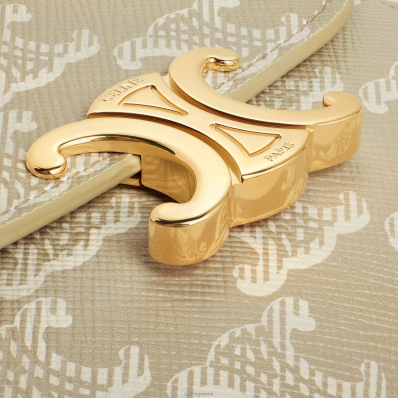 μικρό πορτοφόλι θρίαμβος σε καμβά θριάμβου γυναίκες CELINE 640PT454 αξεσουάρ grege