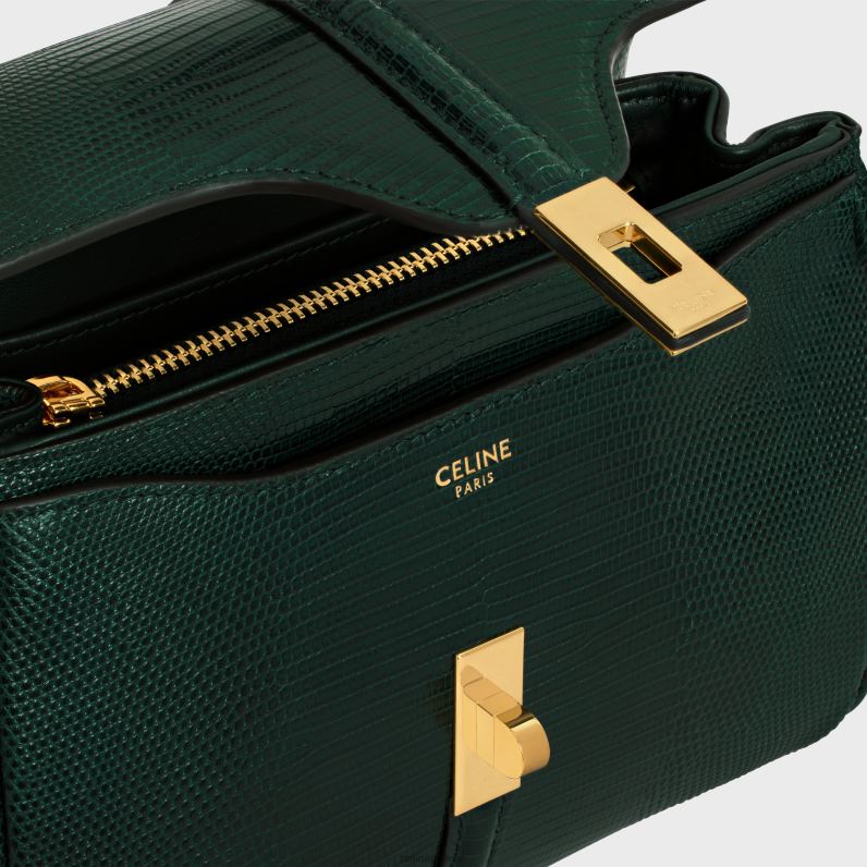 μίνι 16 σε σαύρα γυναίκες CELINE 640PT137 αξεσουάρ amazone