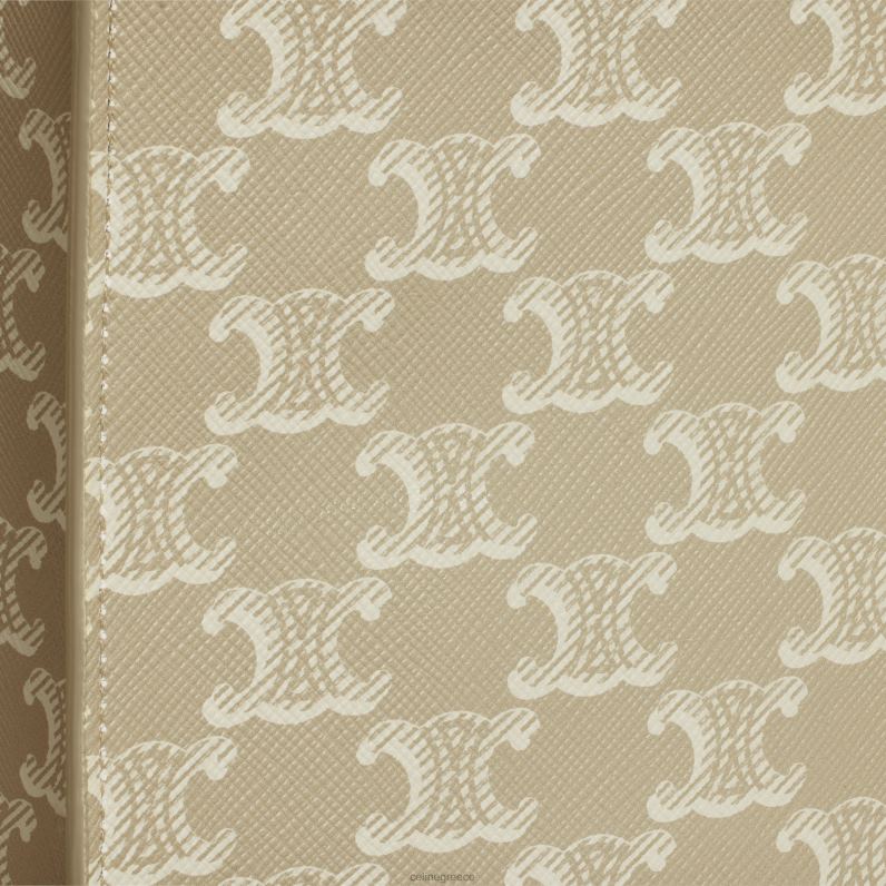 μίνι κάθετες καμπίνες σε καμβά triomphe & δέρμα μοσχαριού γυναίκες CELINE 640PT240 αξεσουάρ grege