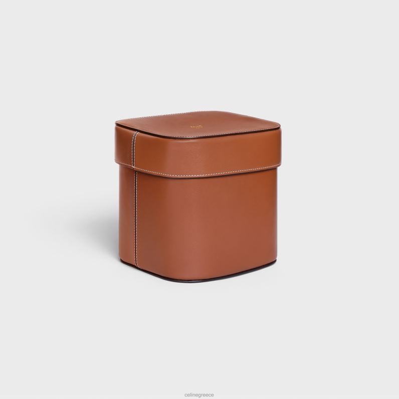 μεγάλο κουτί από γυαλιστερό δέρμα μοσχαριού άνδρες CELINE 640PT1532 αξεσουάρ βυρσοδέψω