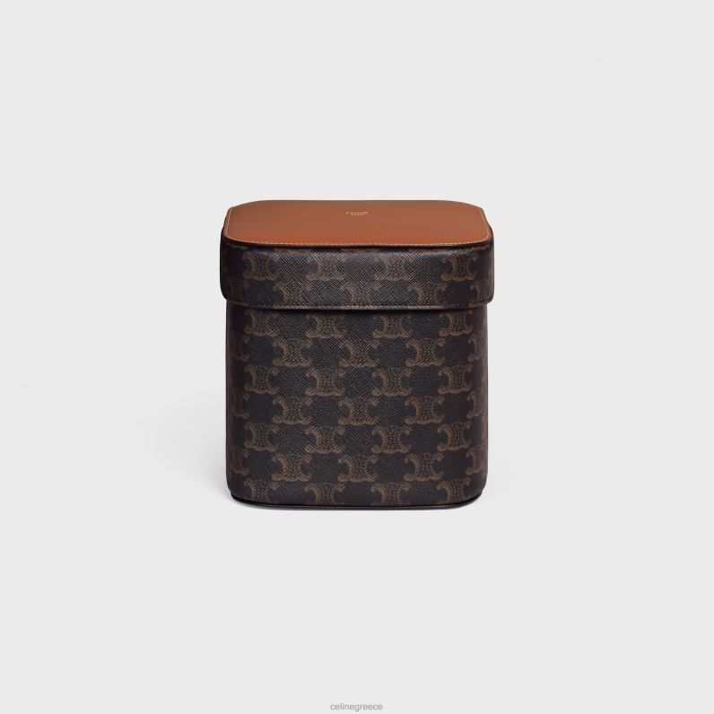 μεγάλο κουτί σε καμβά triomphe & δέρμα μοσχαριού άνδρες CELINE 640PT1536 αξεσουάρ βυρσοδέψω