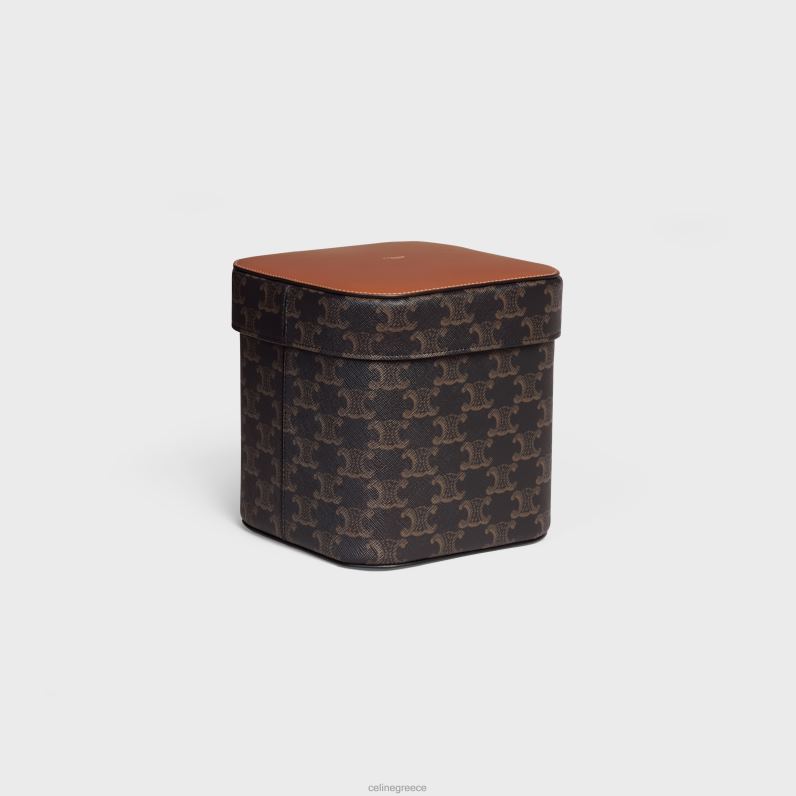 μεγάλο κουτί σε καμβά triomphe & δέρμα μοσχαριού άνδρες CELINE 640PT1536 αξεσουάρ βυρσοδέψω