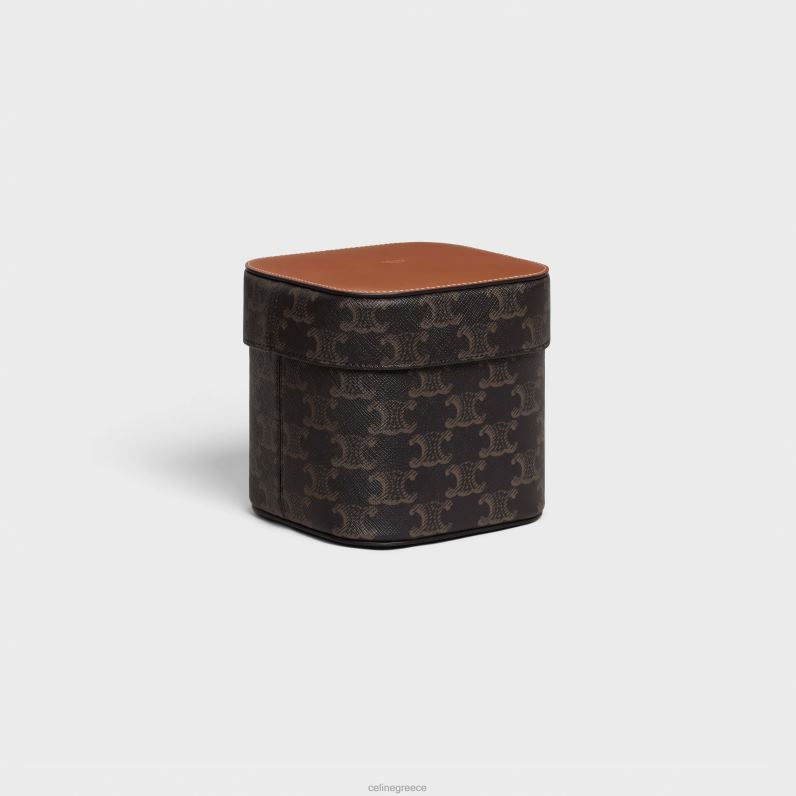 μεσαίο κουτί σε καμβά triomphe & δέρμα μοσχαριού άνδρες CELINE 640PT1537 αξεσουάρ βυρσοδέψω