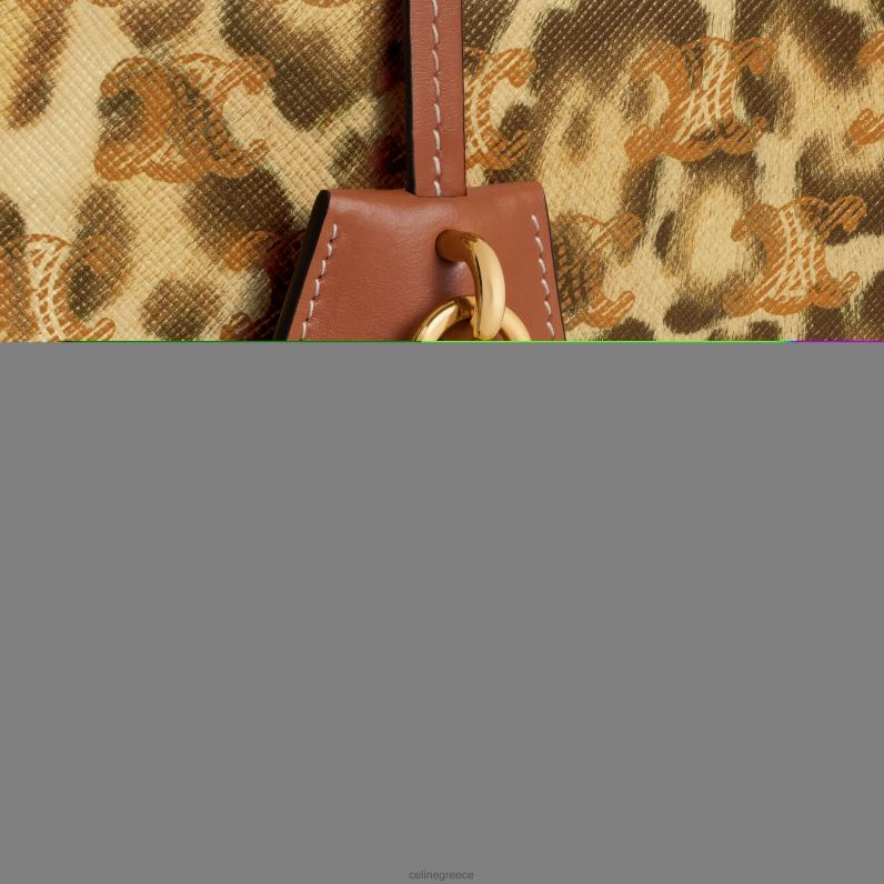 νεσεσέρ ταξιδιού σε καμβά triomphe με στάμπα & δέρμα μοσχαριού άνδρες CELINE 640PT1567 αξεσουάρ λεοπάρδαλη