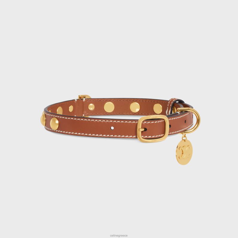 μεσαίο λεπτό κολάρο σκύλου σε λείο δέρμα μοσχαριού με καρφιά άνδρες CELINE 640PT1759 αξεσουάρ βυρσοδέψω