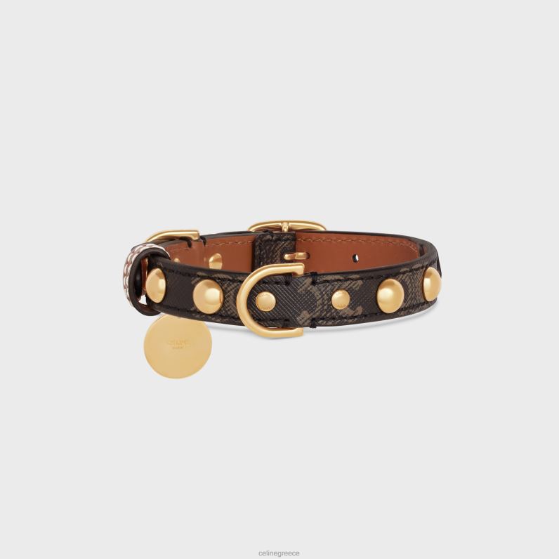 μικρό λεπτό κολάρο σκύλου σε καμβά triomphe & δέρμα μοσχαριού με καρφιά άνδρες CELINE 640PT1752 αξεσουάρ βυρσοδέψω