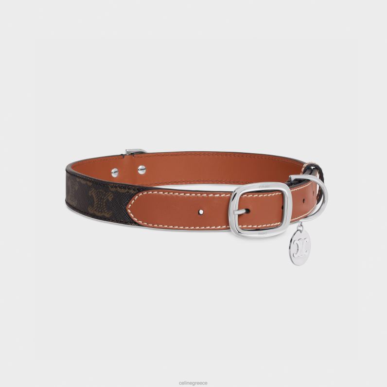 φαρδύ μεγάλο κολάρο σκύλου σε καμβά triomphe & δέρμα μοσχαριού άνδρες CELINE 640PT1767 αξεσουάρ βυρσοδέψω